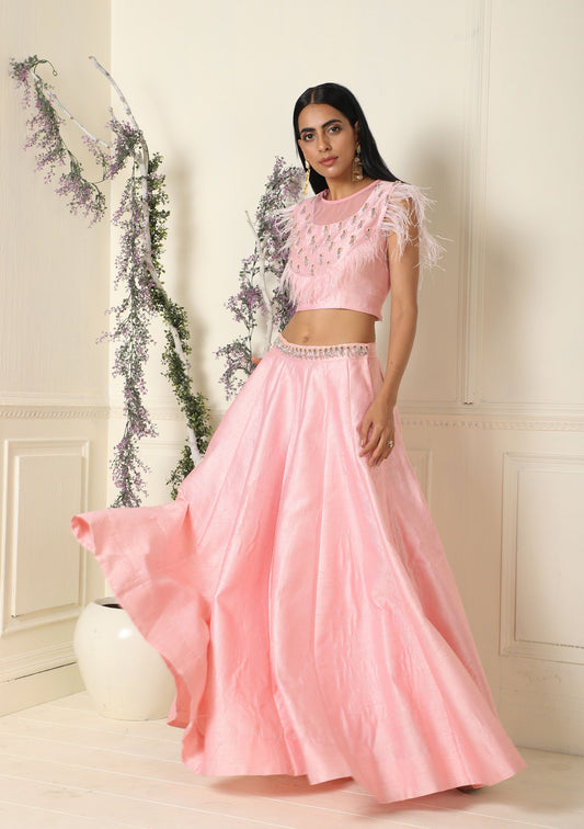 Baby Pink Lehenga Set